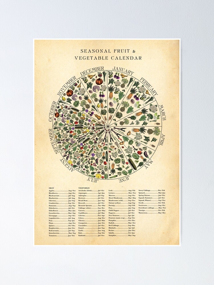 "Seasonal Fruit & Veg Chart Monthly Calendar" Poster for Sale by