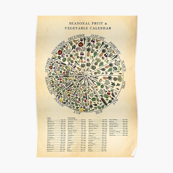 "Seasonal Fruit & Veg Chart Monthly Calendar" Poster for Sale by