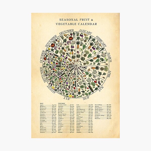 Item preview, Seasonal Fruit & Veg Chart Monthly Calendar designed and sold by Highdown73.
