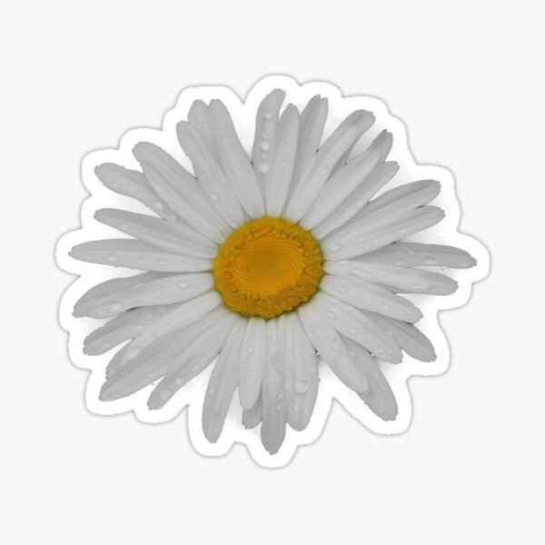 White Flower Sticker