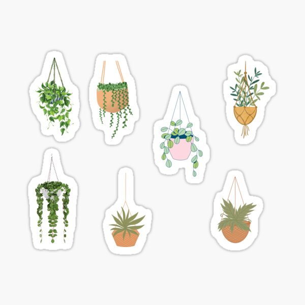 Item preview, Hanging plants, Macrame plant hanger, Hanging baskets, Hanging basket plants designed and sold by xMaCaRoN.
