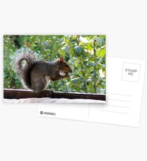 Guest for lunch Postcards