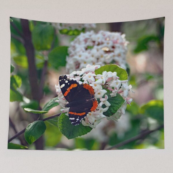 Item preview, Red Admiral Butterfly 1841 designed and sold by Strawflower Oasis.