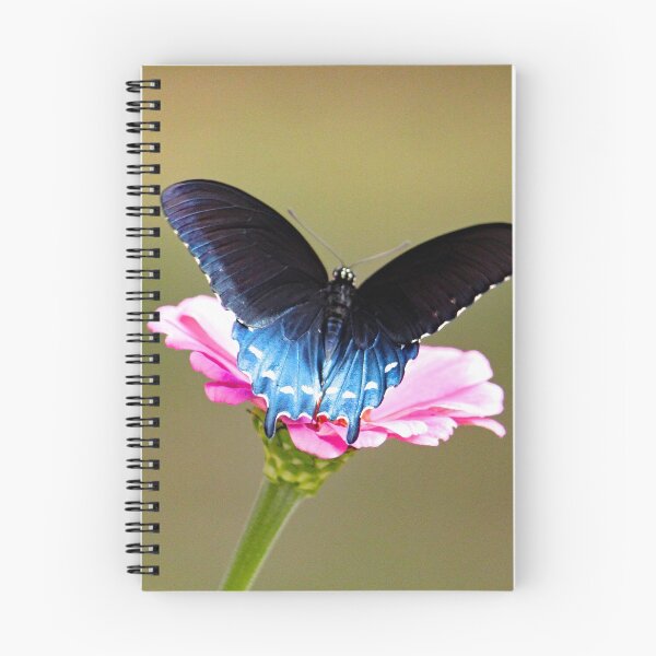 Item preview, Pipevine Swallowtail Butterfly 9527 designed and sold by Strawflower Oasis.