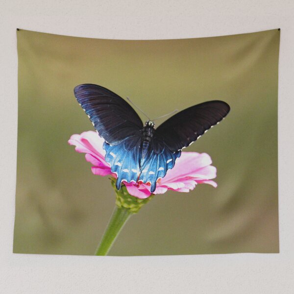 Item preview, Pipevine Swallowtail Butterfly 9527 designed and sold by Strawflower Oasis.
