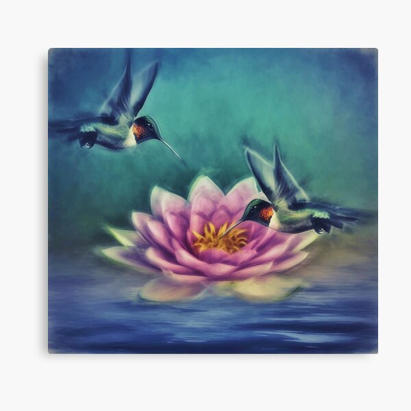 Lotus Flower 2 Canvas Print