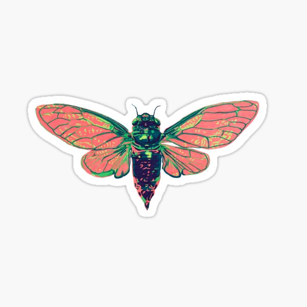 17 Year Cicada Sticker