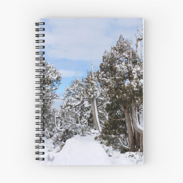 Item preview, ~ Pine Lake Pencil Pines ~ designed and sold by Leeo.