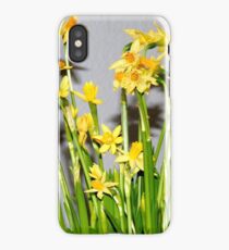 Daffodils iPhone Case