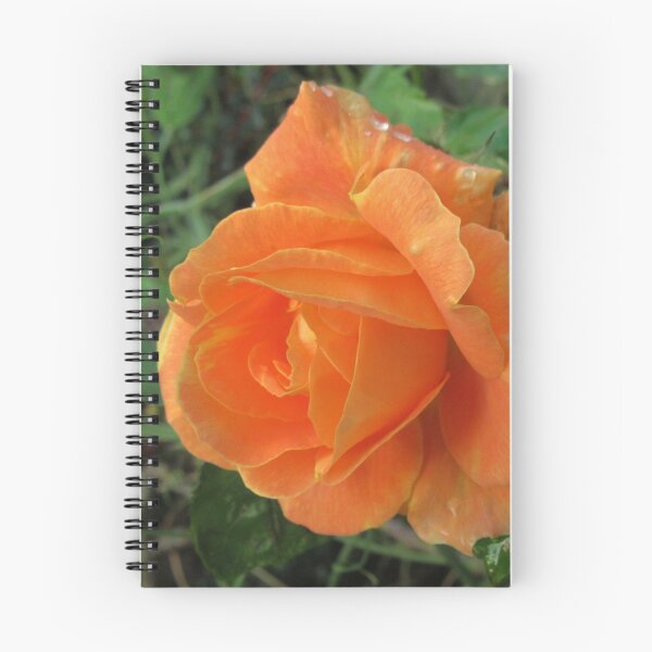 Item preview, A Summer Rose In Autumn designed and sold by lezvee.