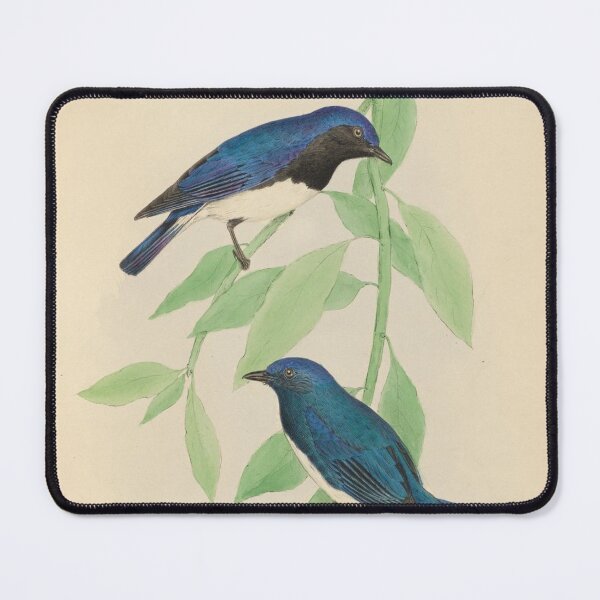 Item preview, Eastern Black Eared Wheatear designed and sold by laguitan10.