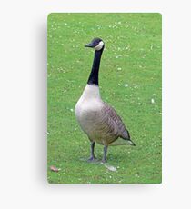 Ten-Hut! Canvas Print
