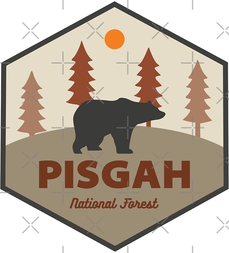 "Pisgah National Forest Bear" by esskay Redbubble