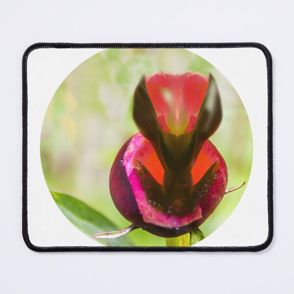 Item preview, The essence of the peony designed and sold by RenateMaria.