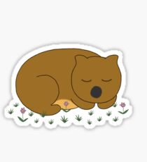 Wombat Dreaming Sticker