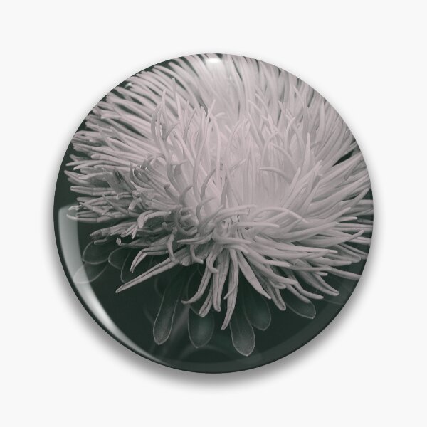 Item preview, Aster designed and sold by annahzsf.