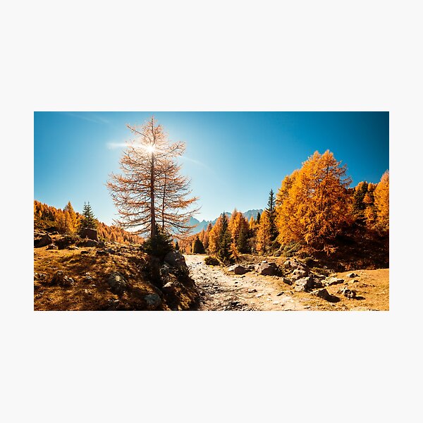 Autumn trekking in the alpine Pusteria valley Photographic Print