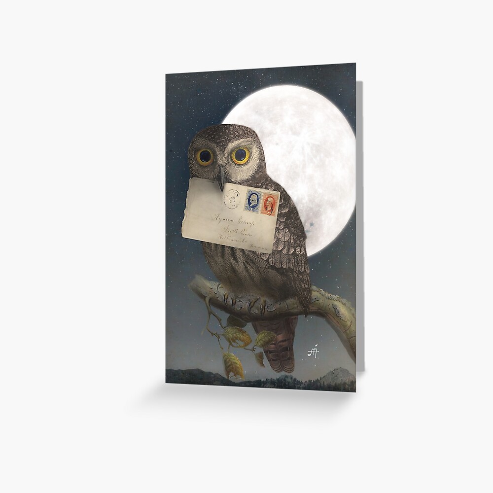 Owl Post Greeting Card