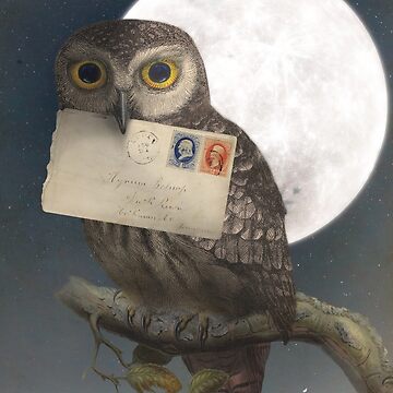 Artwork thumbnail, Owl Post by Manndi