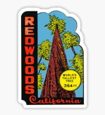 Redwoods National Park California - World's Tallest Tree Sticker