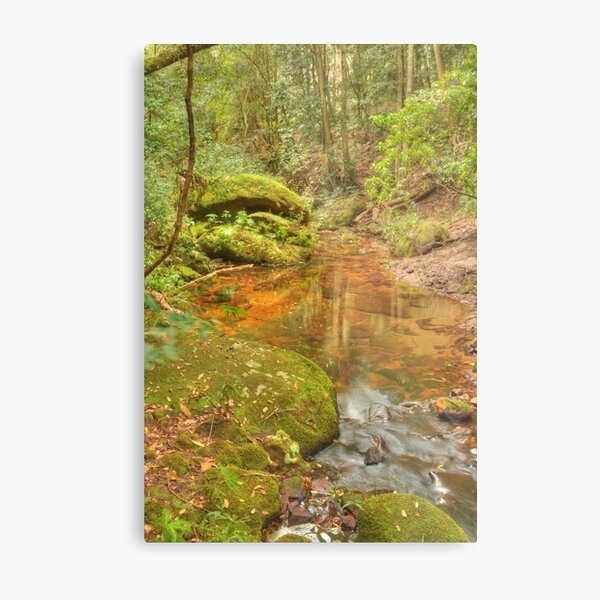 Item preview, Royal Forest Walk designed and sold by Michael Matthews.