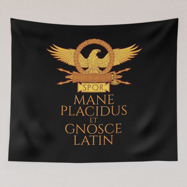 Item preview, Classical Latin - Mane Placidus Et Gnosce Latin - Ancient Rome designed and sold by Styrman.