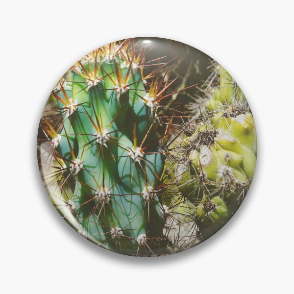 Item preview, Cereus Peruvianus Monstrose Weird Cactus Plant designed and sold by CarolinaReina.