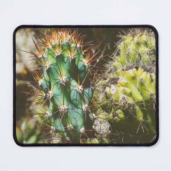 Item preview, Cereus Peruvianus Monstrose Weird Cactus Plant designed and sold by CarolinaReina.