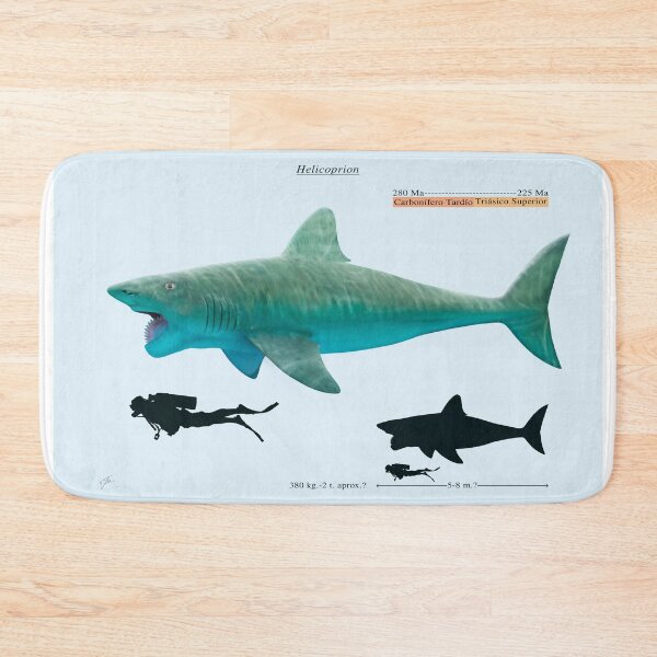 Item preview, Helicoprion designed and sold by paleoarteymas.