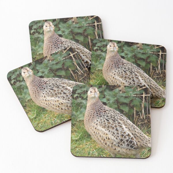 Item preview, A female Pheasant designed and sold by widdy170.