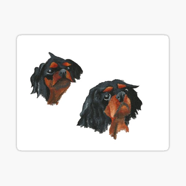 Cavalier King Charles Spaniel Sticker