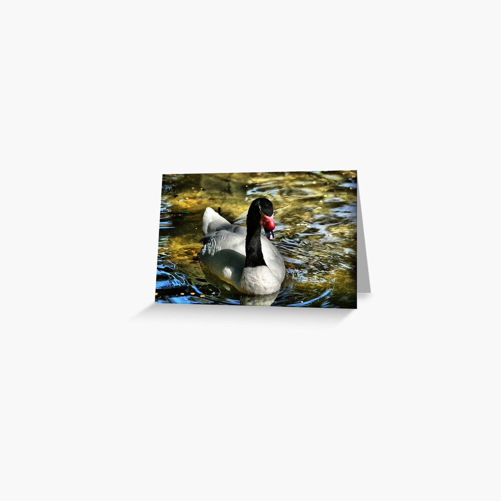 Item preview, Greeting Card designed and sold by idnurse41.