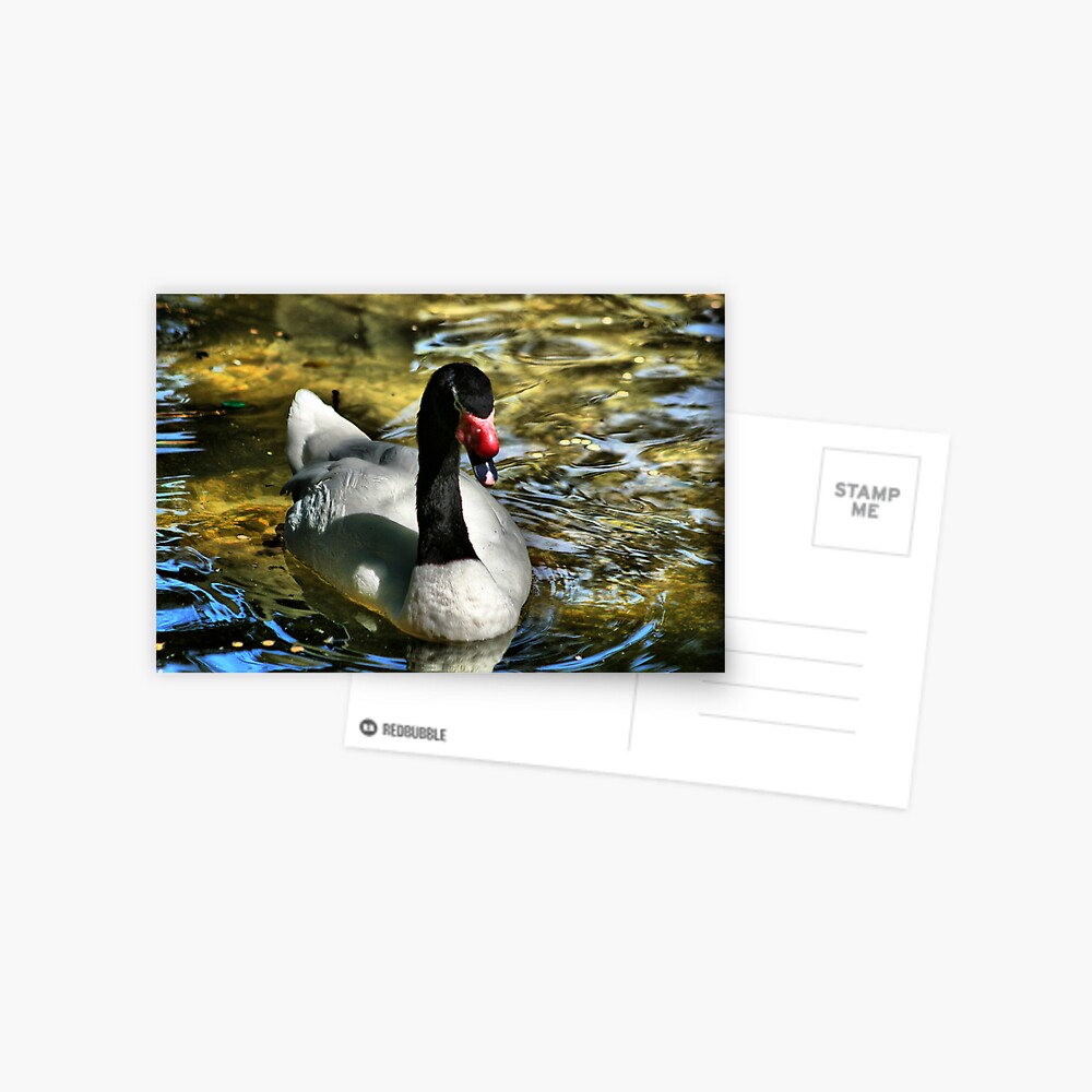 Item preview, Postcard designed and sold by idnurse41.