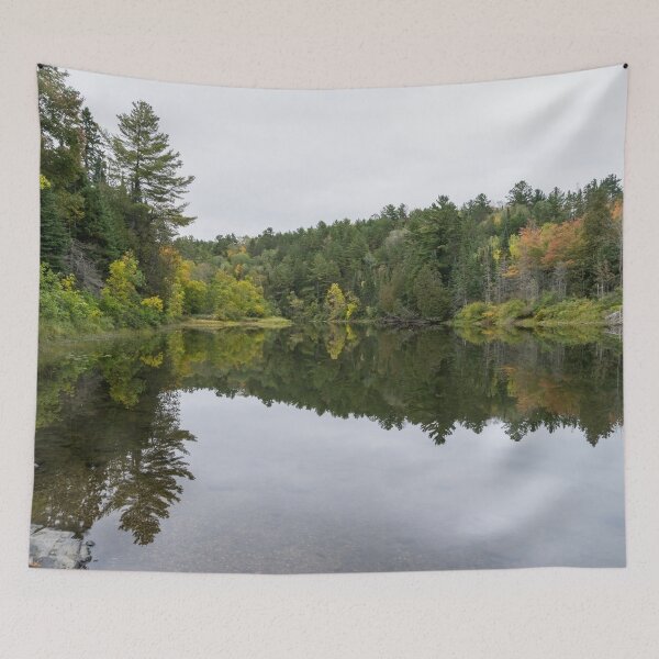 Item preview, Calming Forest Mirror Ecotherapy - Serpent River Northern Ontario Canada designed and sold by Georgia Mizuleva.
