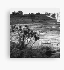 wedding pose no.6 Canvas Print