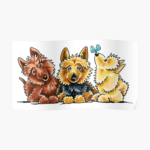 3 Australian Terriers Poster