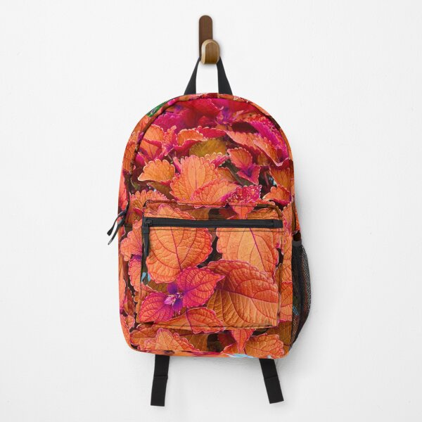 Item preview, Campfire Coleus Plant designed and sold by StudioRosebud.
