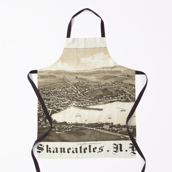 Item preview, Skaneateles, New York (1884) designed and sold by allhistory.