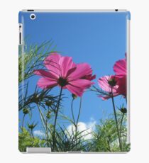 Looking Up iPad Case/Skin
