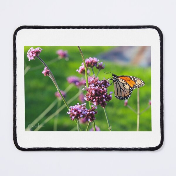 Item preview, Monarch Butterfly designed and sold by chopke63.