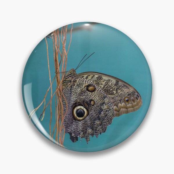 Item preview,  Butterfly designed and sold by chopke63.