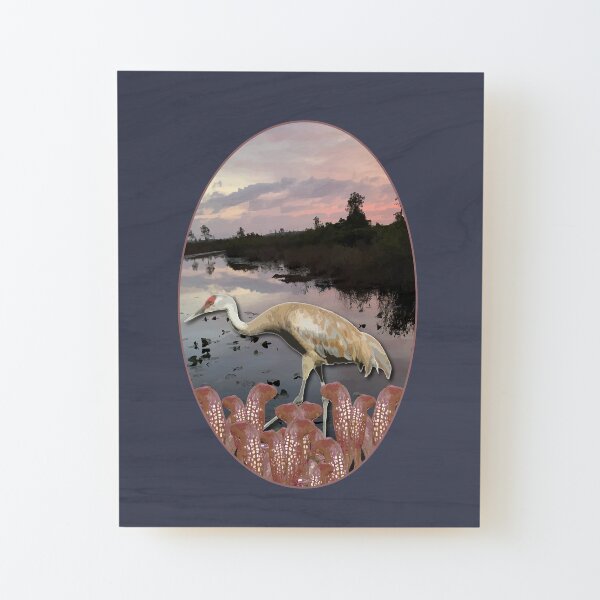 Flora Fauna Travel Series: Okefenokee National Wildlife Refuge, GA Wood Mounted Print
