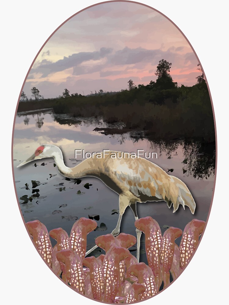 "Flora Fauna Travel Series: Okefenokee National Wildlife Refuge, GA