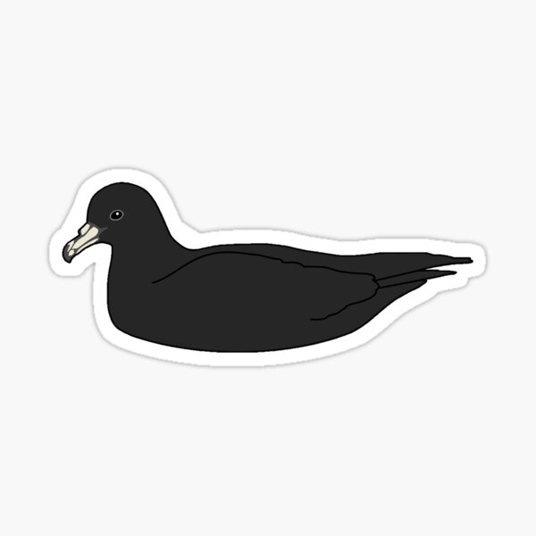 Item preview, Black Petrel designed and sold by taylorrowan.