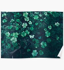 Undergrowth Poster