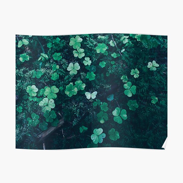 Undergrowth Poster