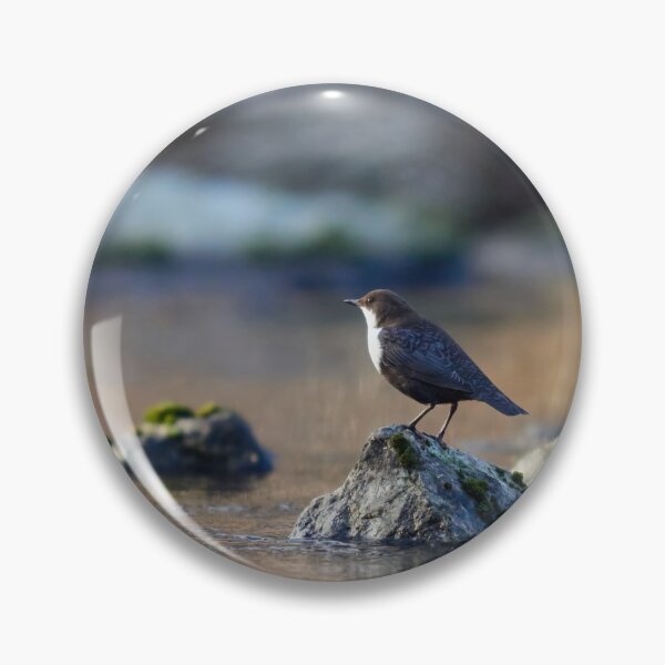 Item preview, Seasons first. White-throated dipper designed and sold by Jouko Lehto Photography.