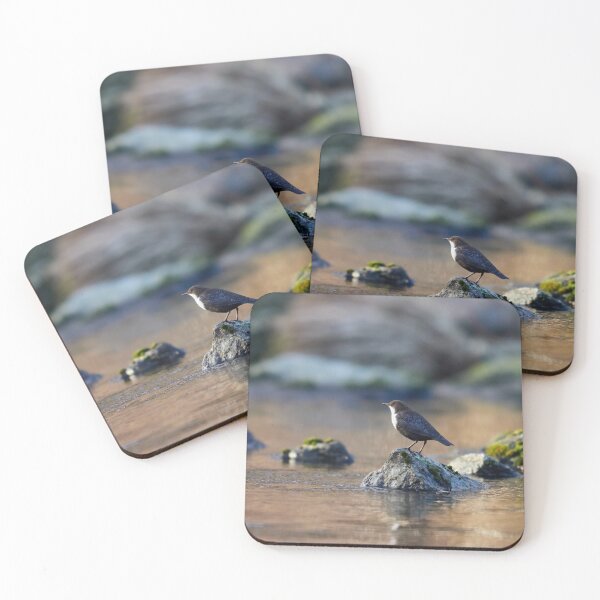 Item preview, Seasons first. White-throated dipper designed and sold by Jouko Lehto Photography.