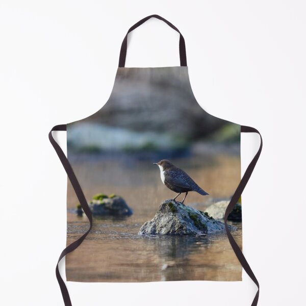Item preview, Seasons first. White-throated dipper designed and sold by Jouko Lehto Photography.
