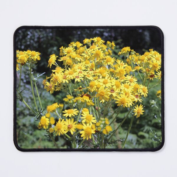 Item preview, Yellow Wild Flowers designed and sold by pinkal.